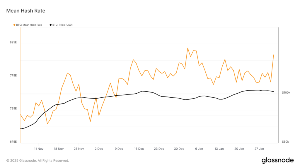 glassnode-studio_mean-hash-rate-3-1024x576.png