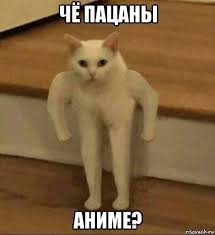 1753196662480.jpeg