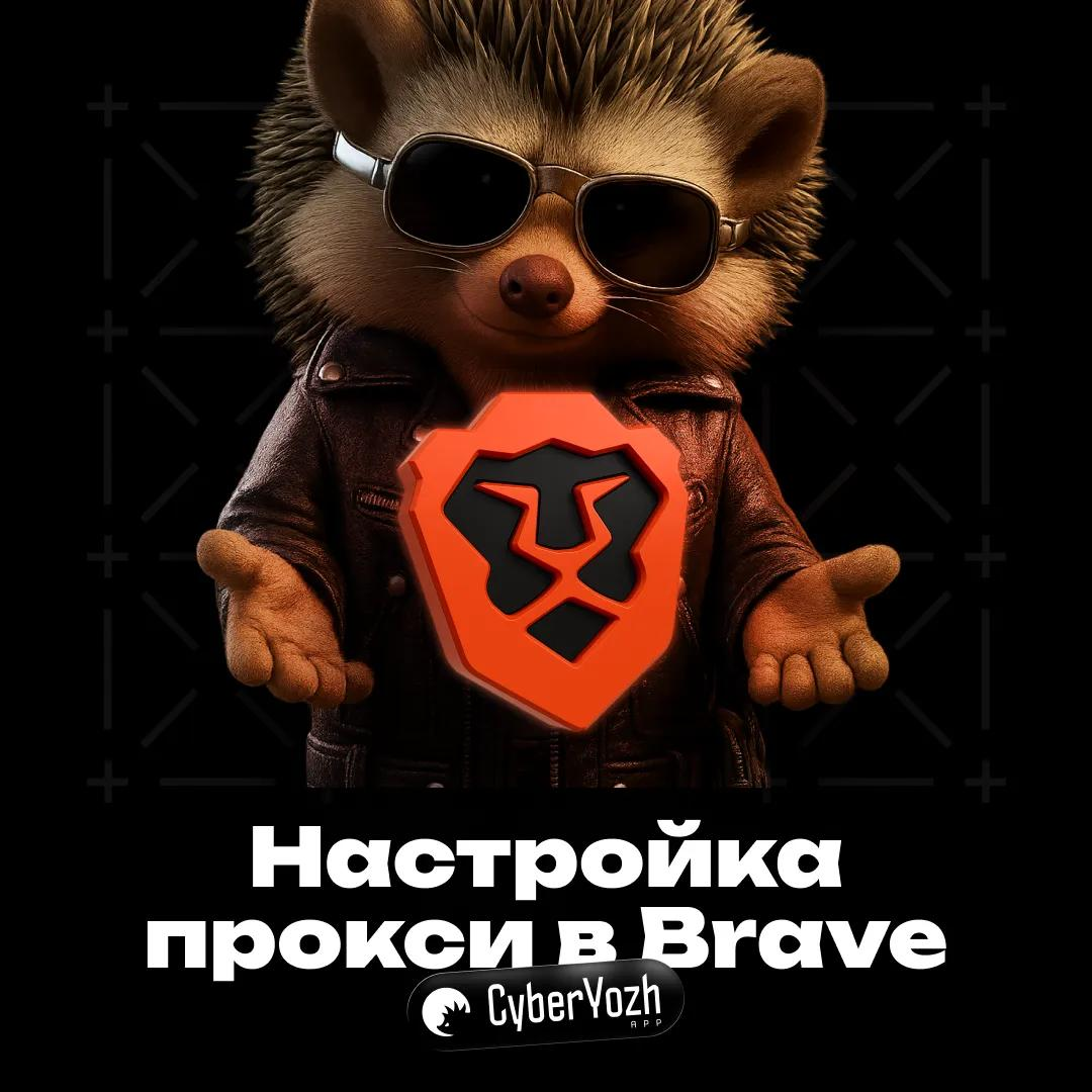 i0q17ql.png