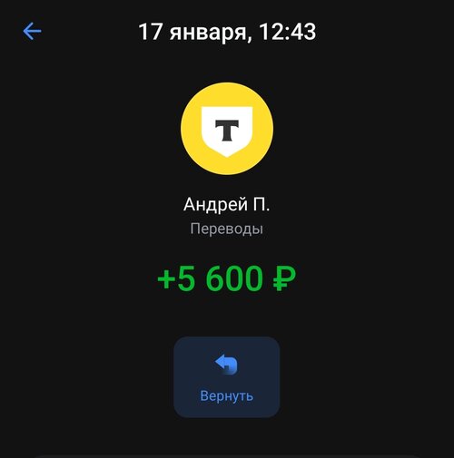 Screenshot_2025-01-18-17-12-20-121_com.idamob.tinkoff.android-edit.jpg