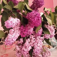 OxanaM_80