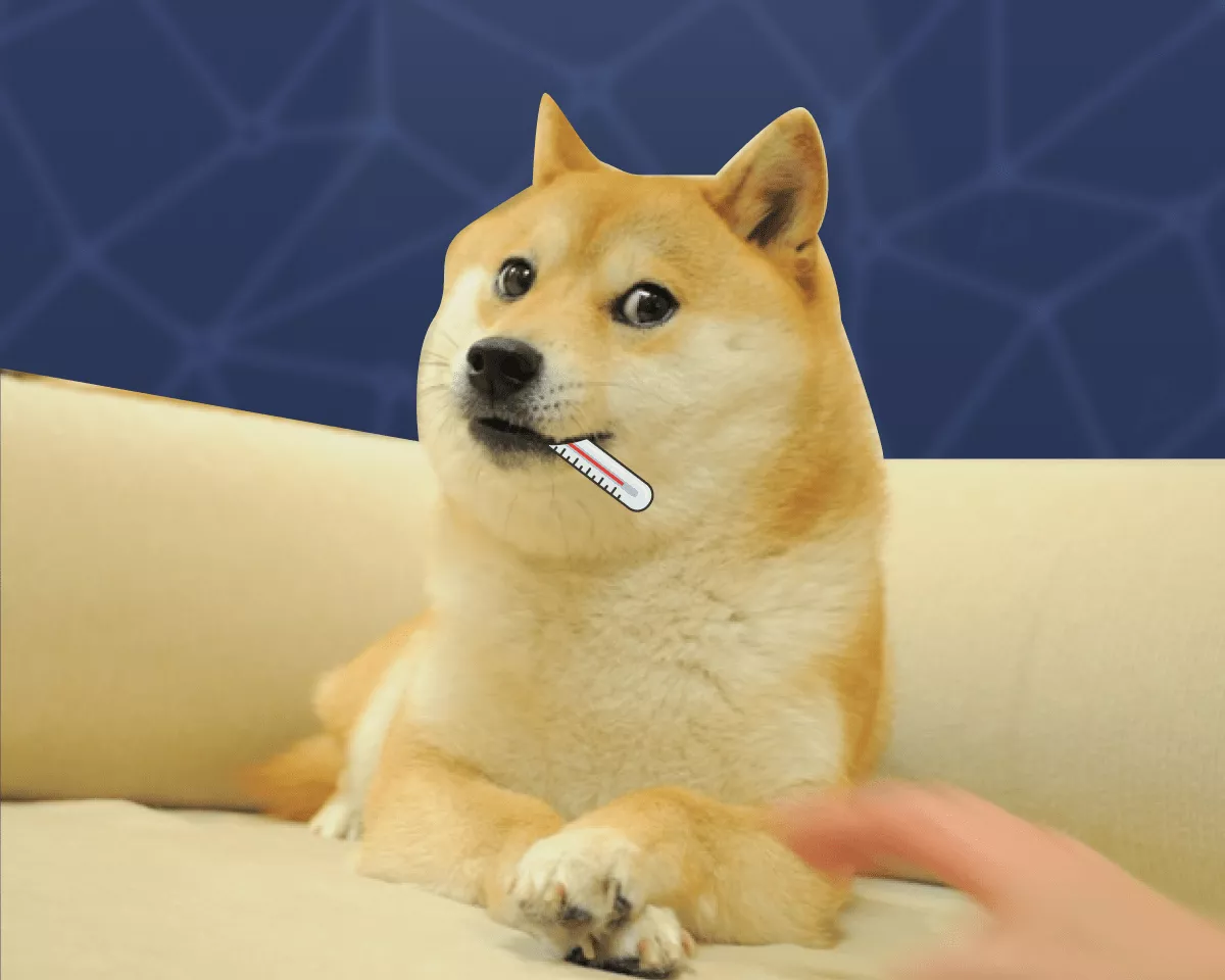 Dogecoin-sobaka-dogekoin-zabolela-min.webp