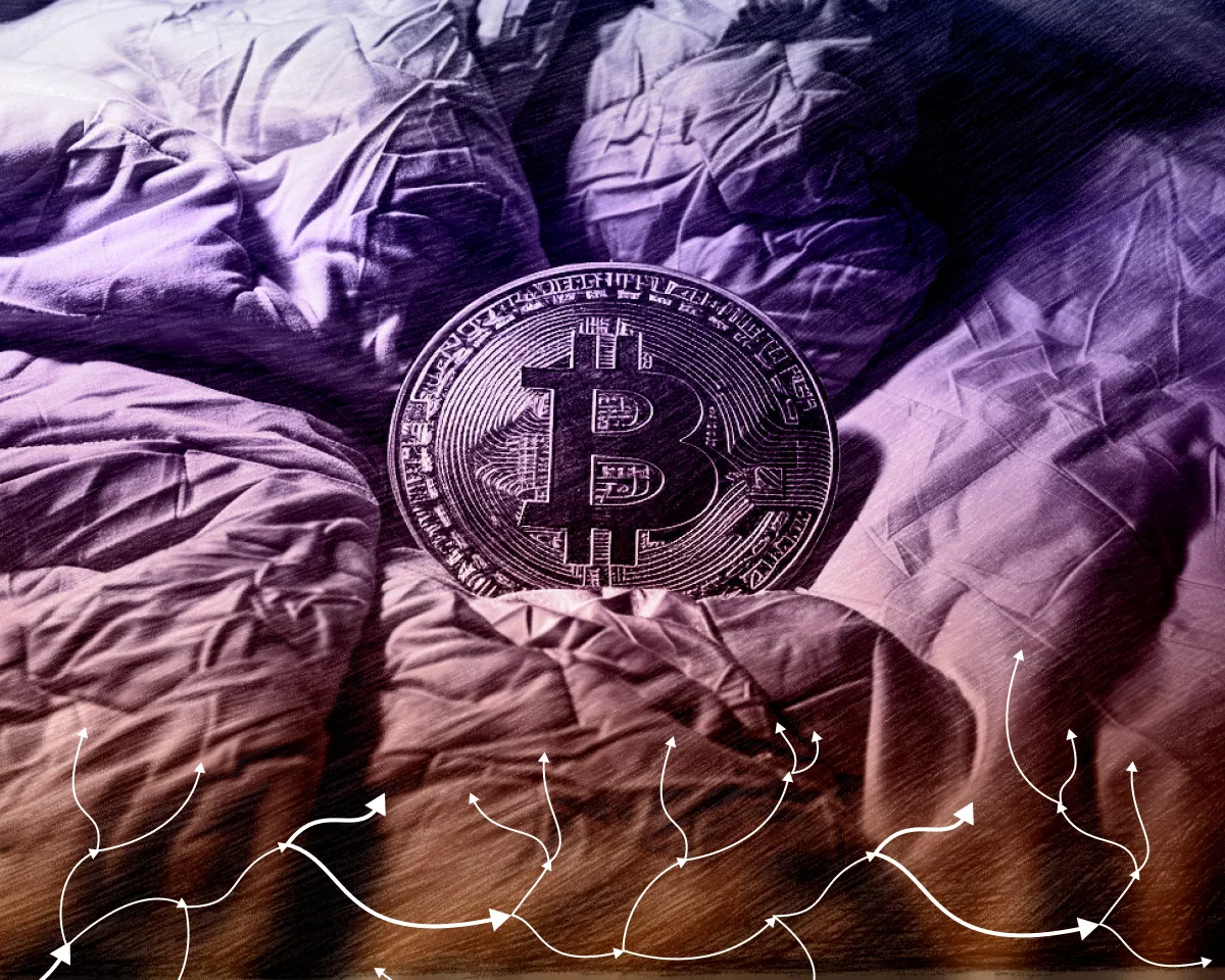 sleeping_btc.webp